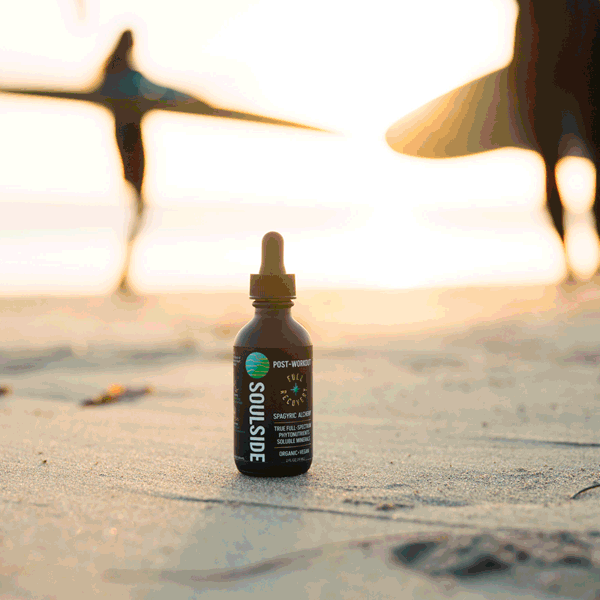 Gif of surfers using Soulside Full Recovery herbal tincture and herbal supplement, a premium organic natural recovery aid for muscle recovery, muscle health, muscle soreness, muscle build, brain recovery, brain health, inflammation and immunity.